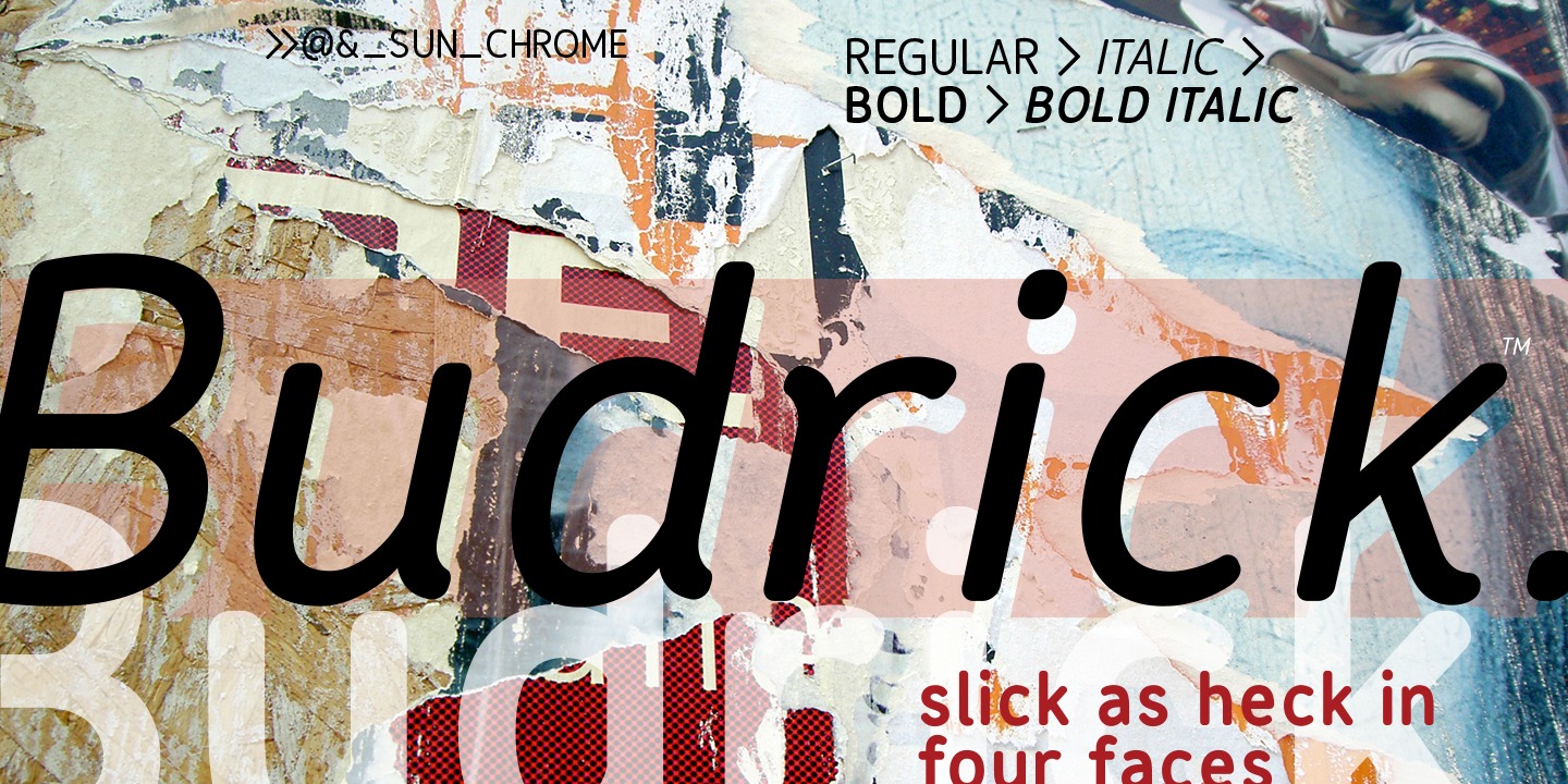 Budrick BB Italic Font preview